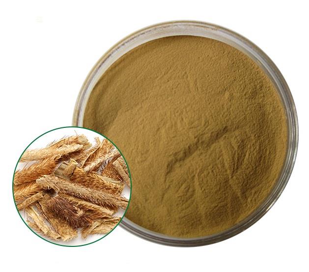 product-629-553 product-629-553